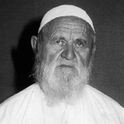 الألباني