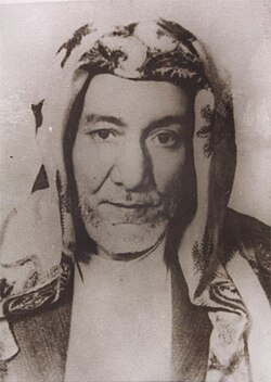 أحمد زيني دحلان